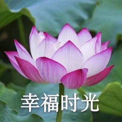 三国再起公益服下载